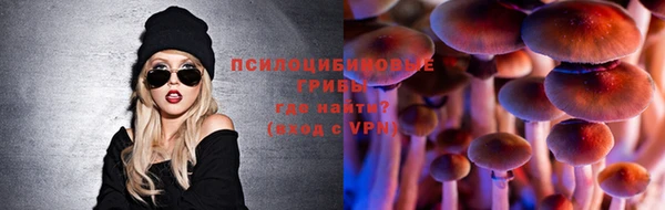 стафф Пестово
