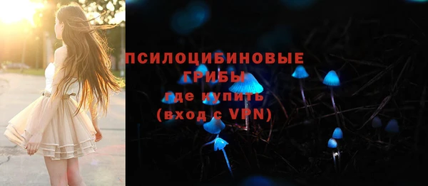 меф Переславль-Залесский
