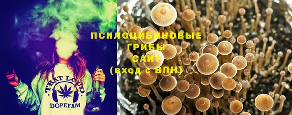 стафф Пестово