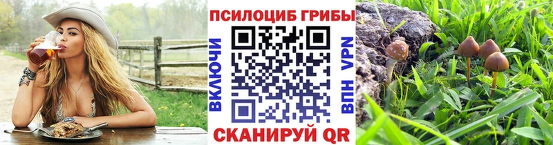 МЕГА как зайти купить Урус-Мартан Псилоцибиновые грибы GOLDEN TEACHER