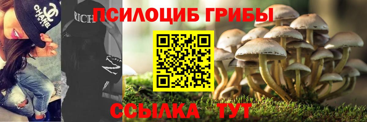 Урус-Мартан  Галлюциногенные грибы Psilocybine cubensis  Вход с VPN  Псилоцибиновые грибы мухоморы 